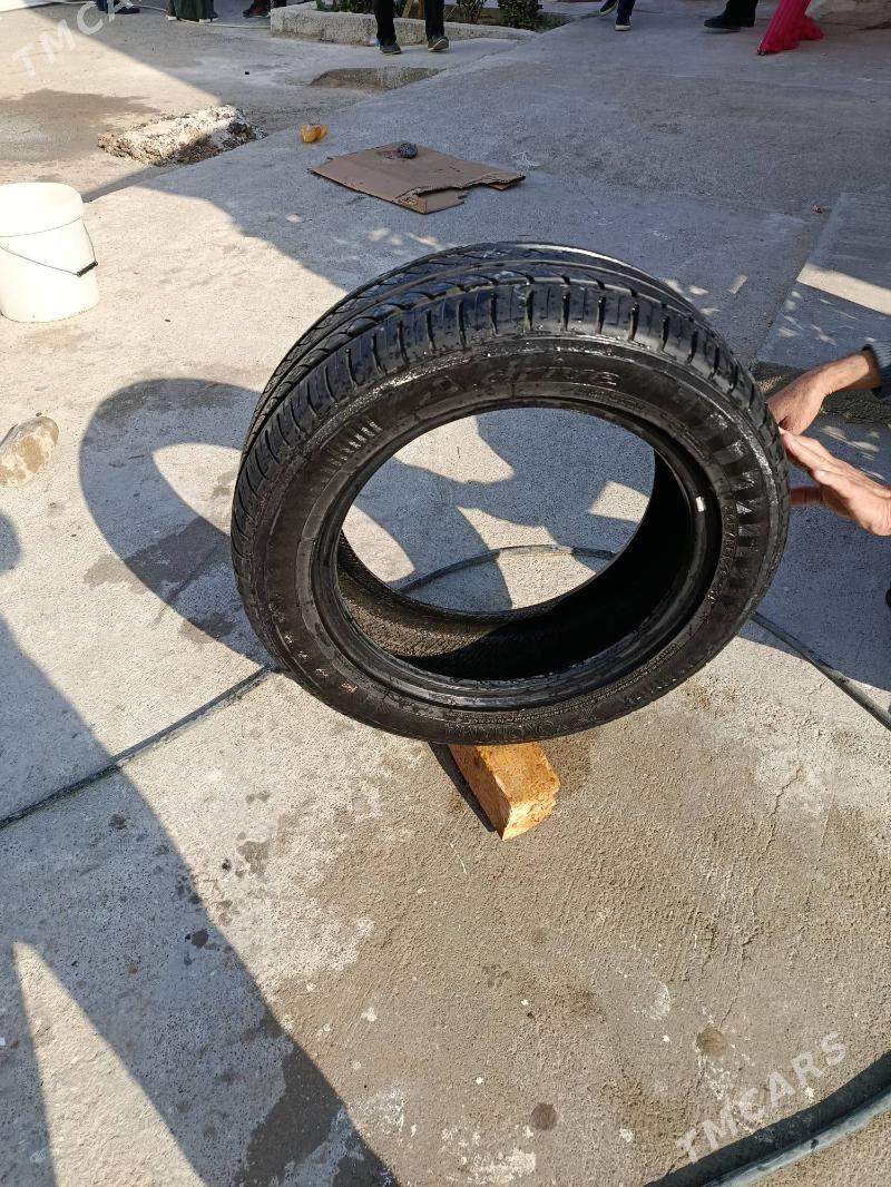 pakriska - Aşgabat - img 4