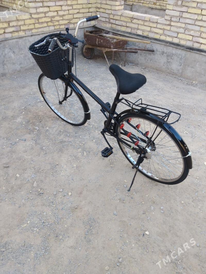 tigir - Tejen - img 5