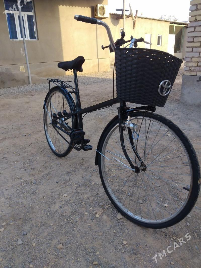 tigir - Tejen - img 2