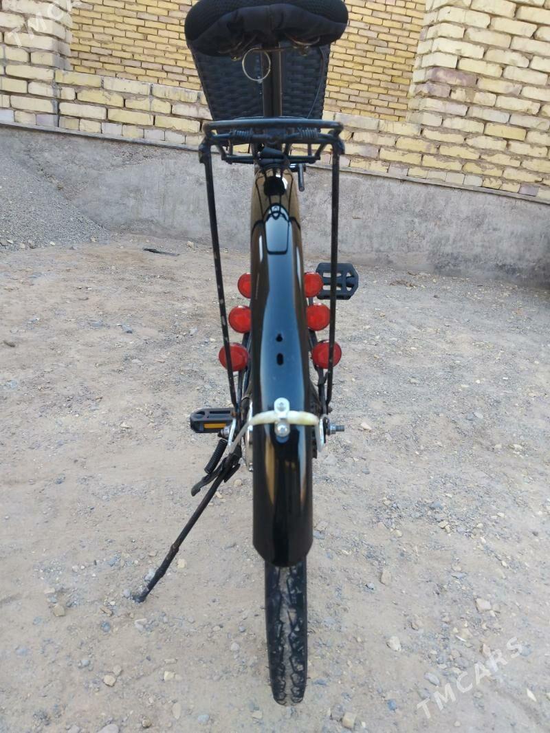 tigir - Tejen - img 4