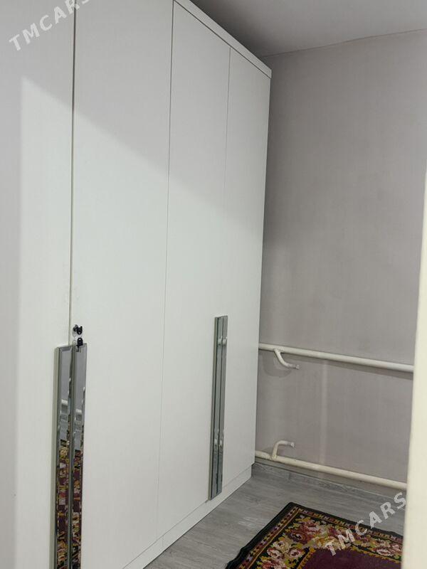 Satlyk jay - Ýolöten - img 5