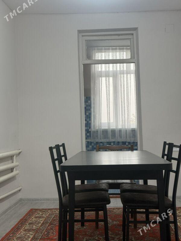 Satlyk jay - Ýolöten - img 4