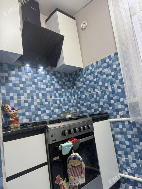 Satlyk jay - Ýolöten - img 3