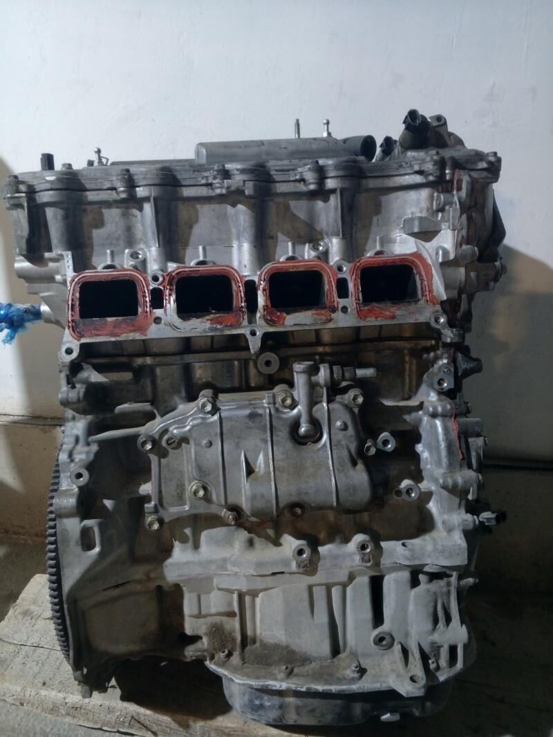 2.5 mator okuz kelle 8 000 TMT - Чоганлы - img 3