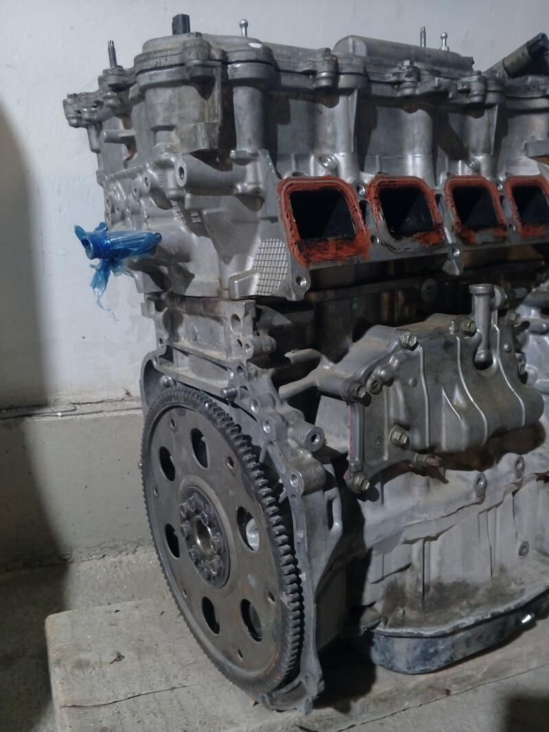 2.5 mator okuz kelle 8 000 TMT - Чоганлы - img 2