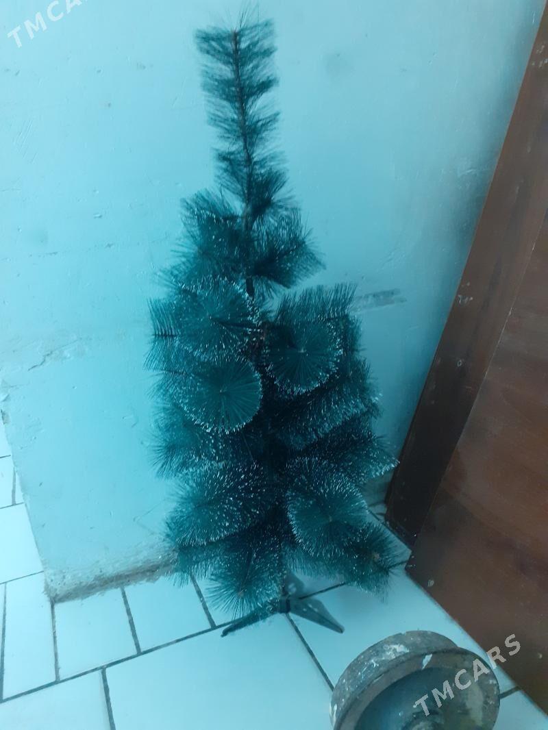 yolka kici - Aşgabat - img 2