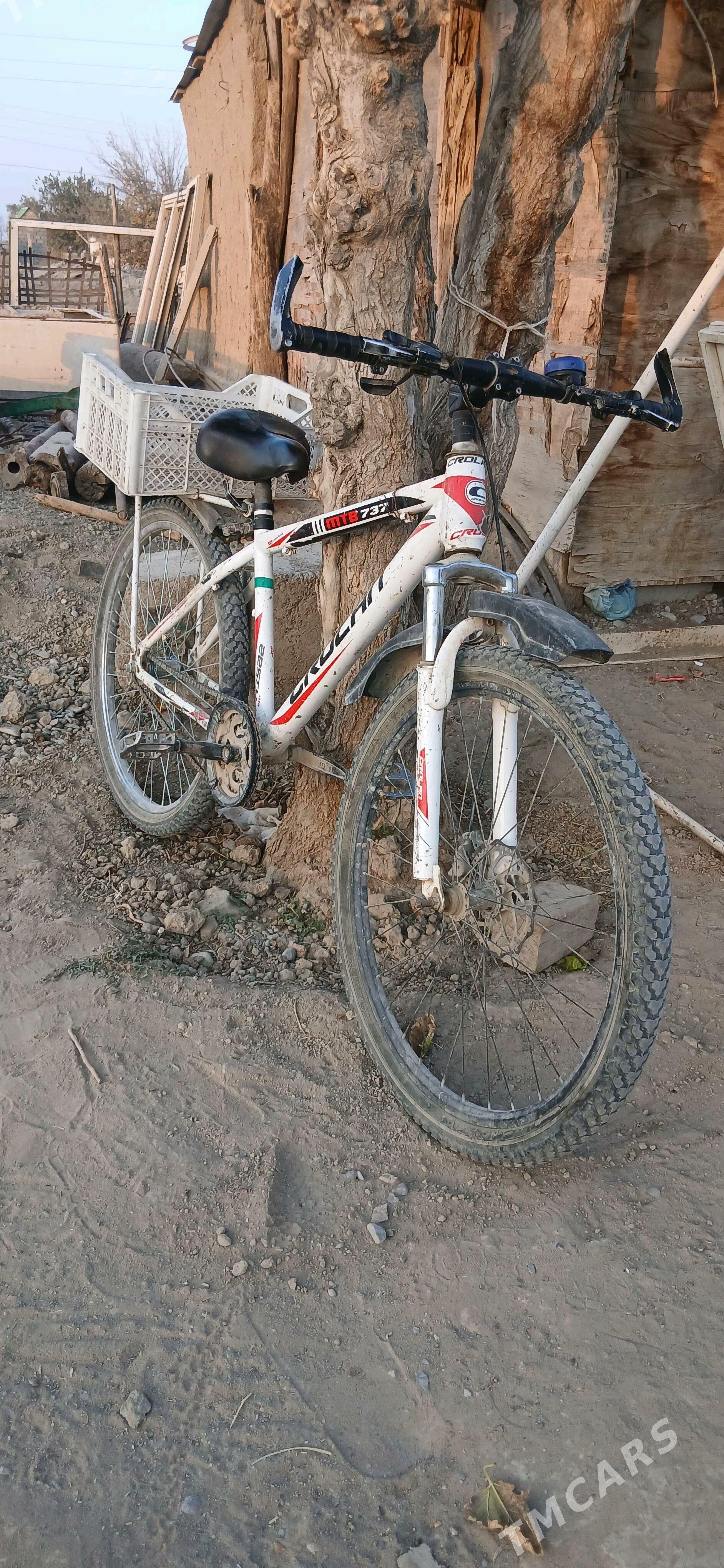 Tigir  26 lik - Gökdepe - img 2