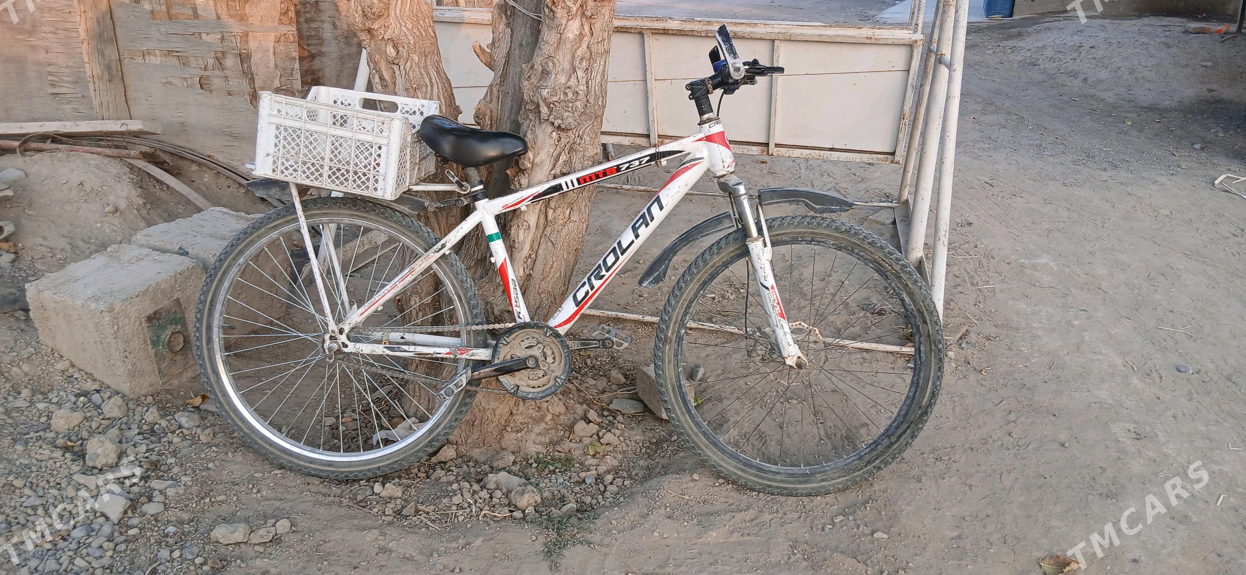 Tigir  26 lik - Gökdepe - img 3