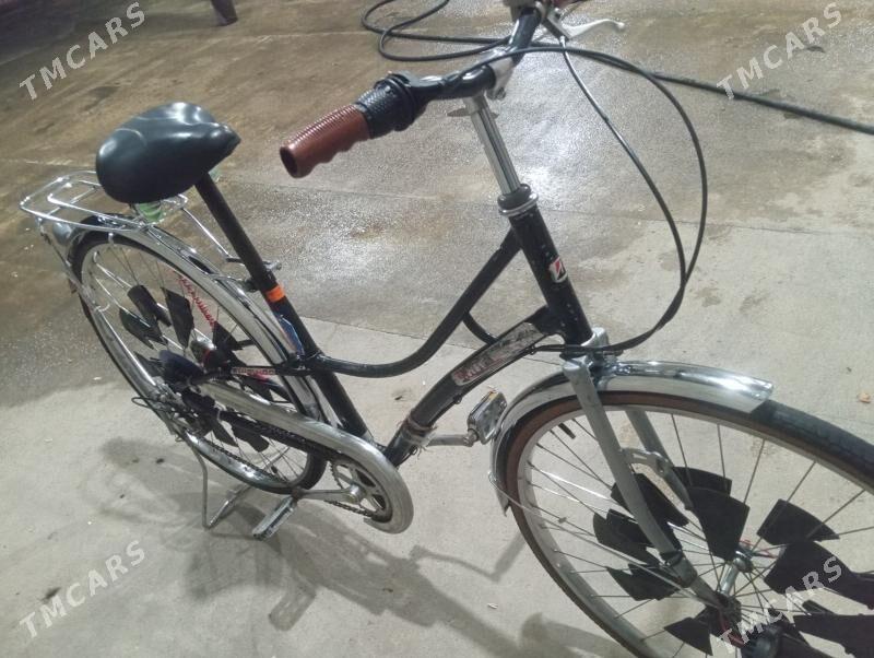 tigir - Кака - img 1