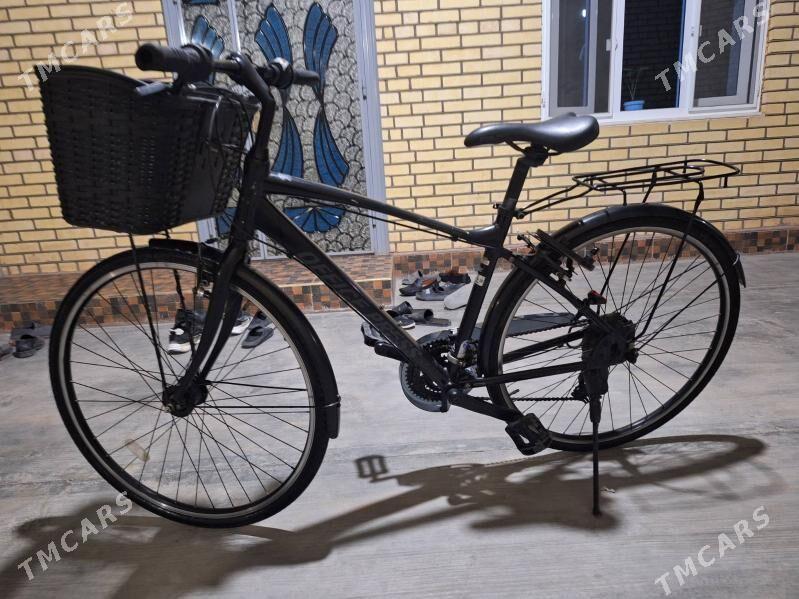 welik  tigir  27 - Baýramaly - img 2