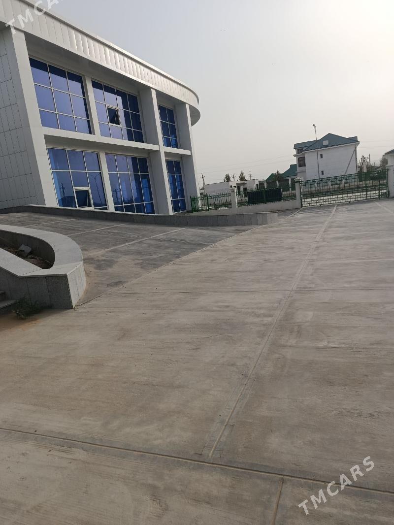 Anew yzdanya - Änew - img 2