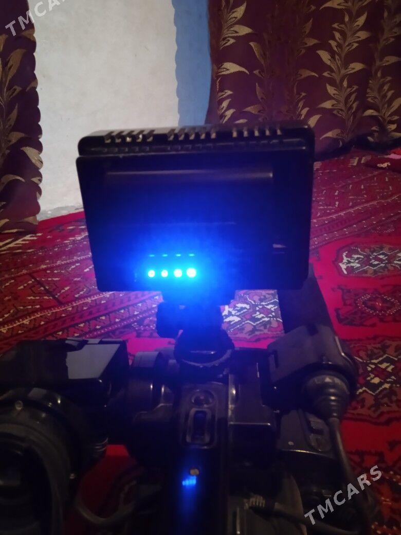 cyra - Kerki - img 3