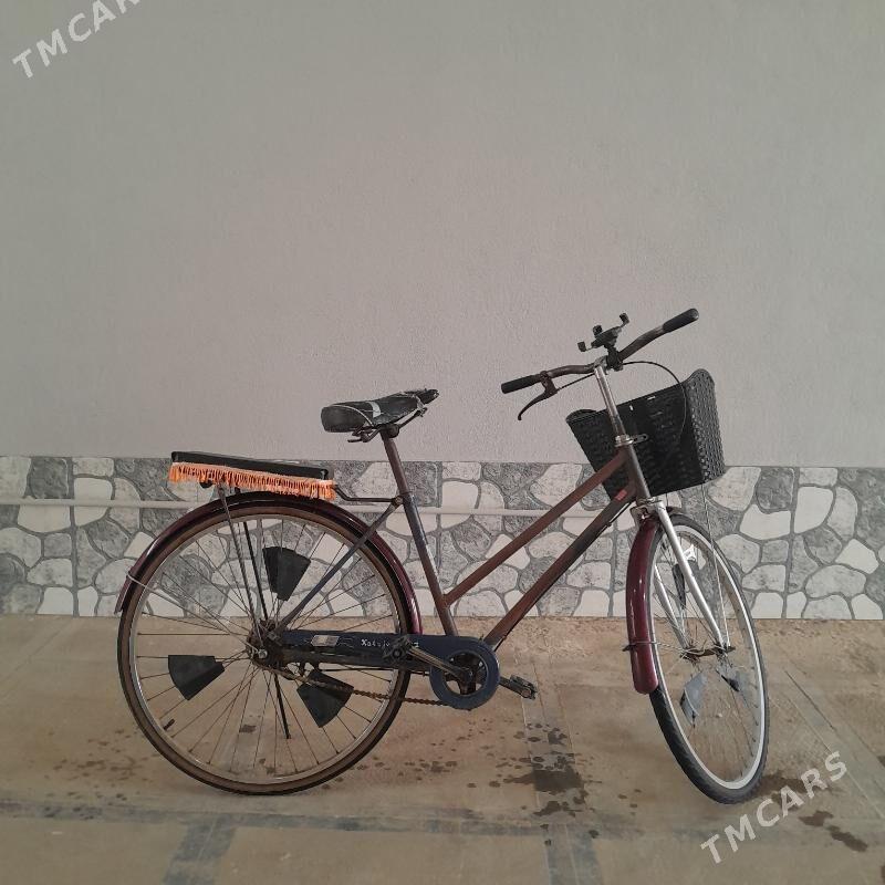 Welosiped 26 - Mary - img 6