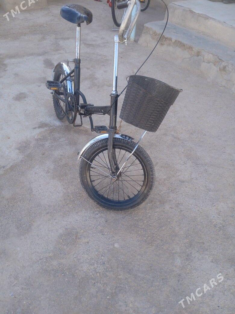 kama welik 16 lyk - Mary - img 2