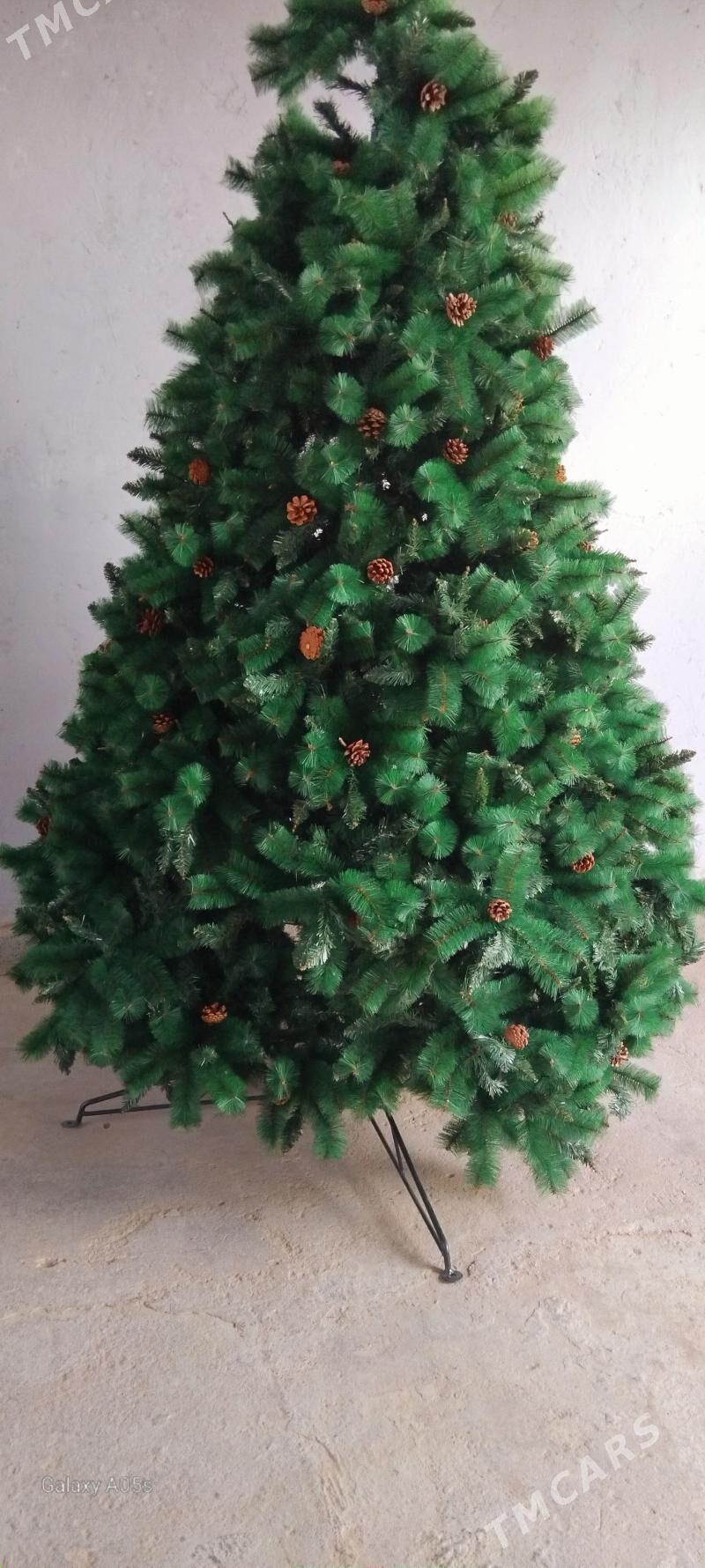 yolka - Çoganly - img 1