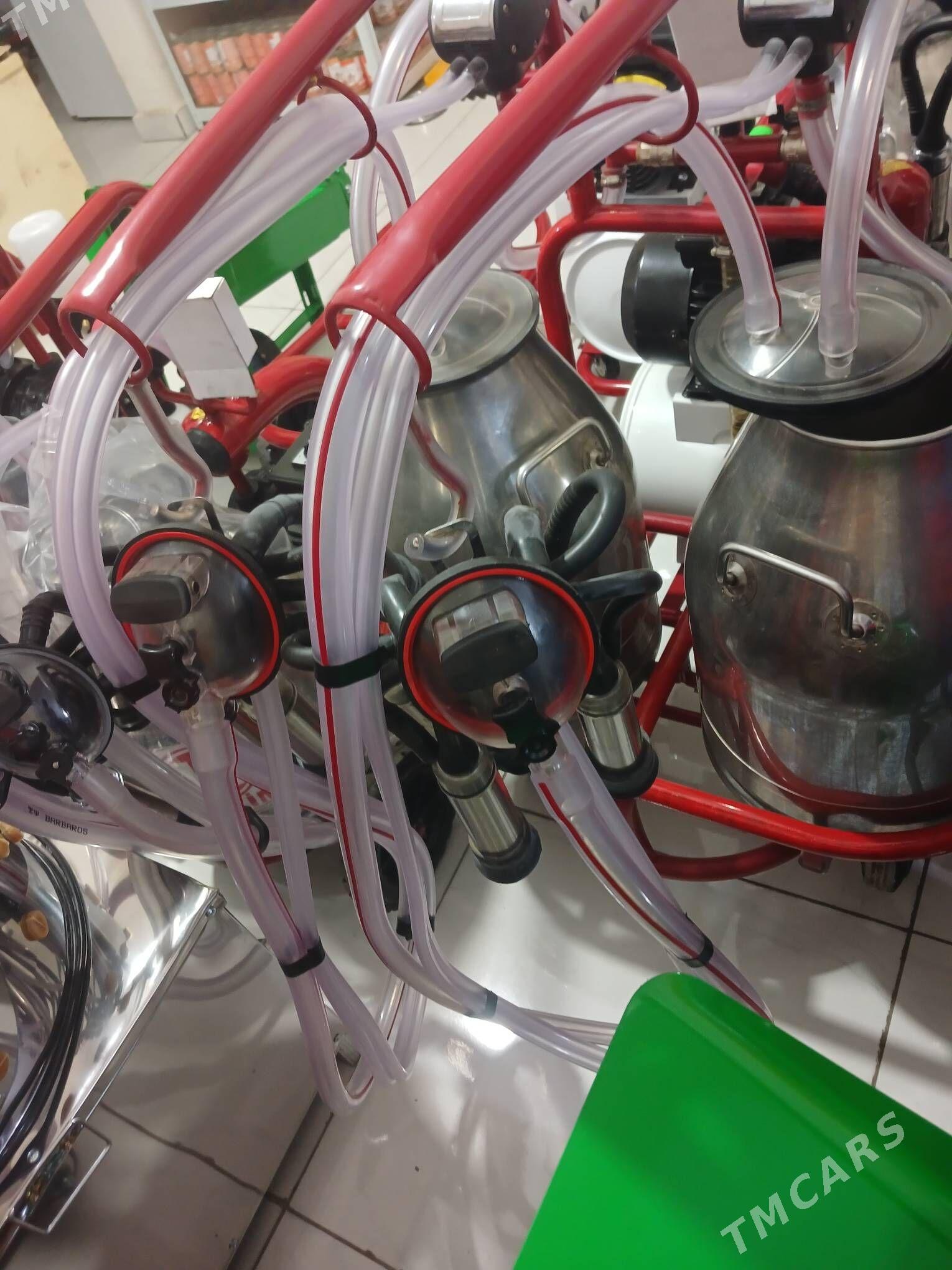 sygyr sagyan enjam - Туркменабат - img 1