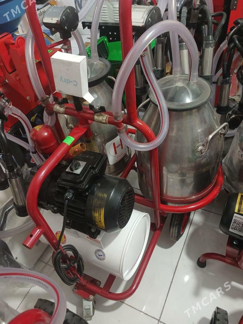 sygyr sagyan enjam - Туркменабат - img 3