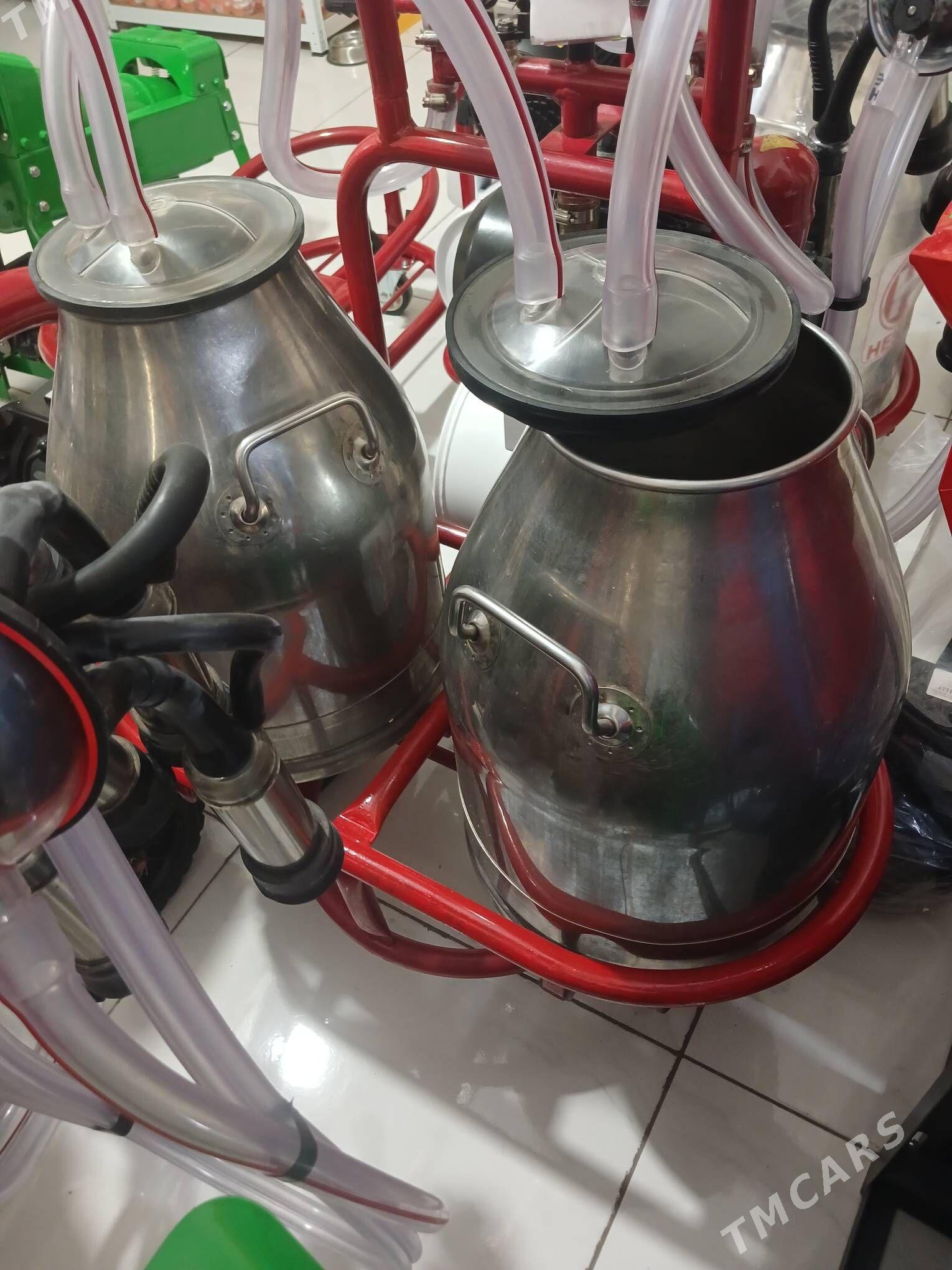 sygyr sagyan enjam - Туркменабат - img 2