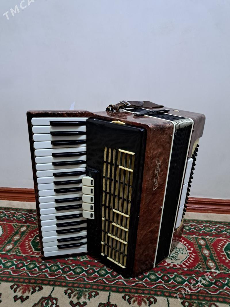 Akkordeon - 30 мкр - img 2