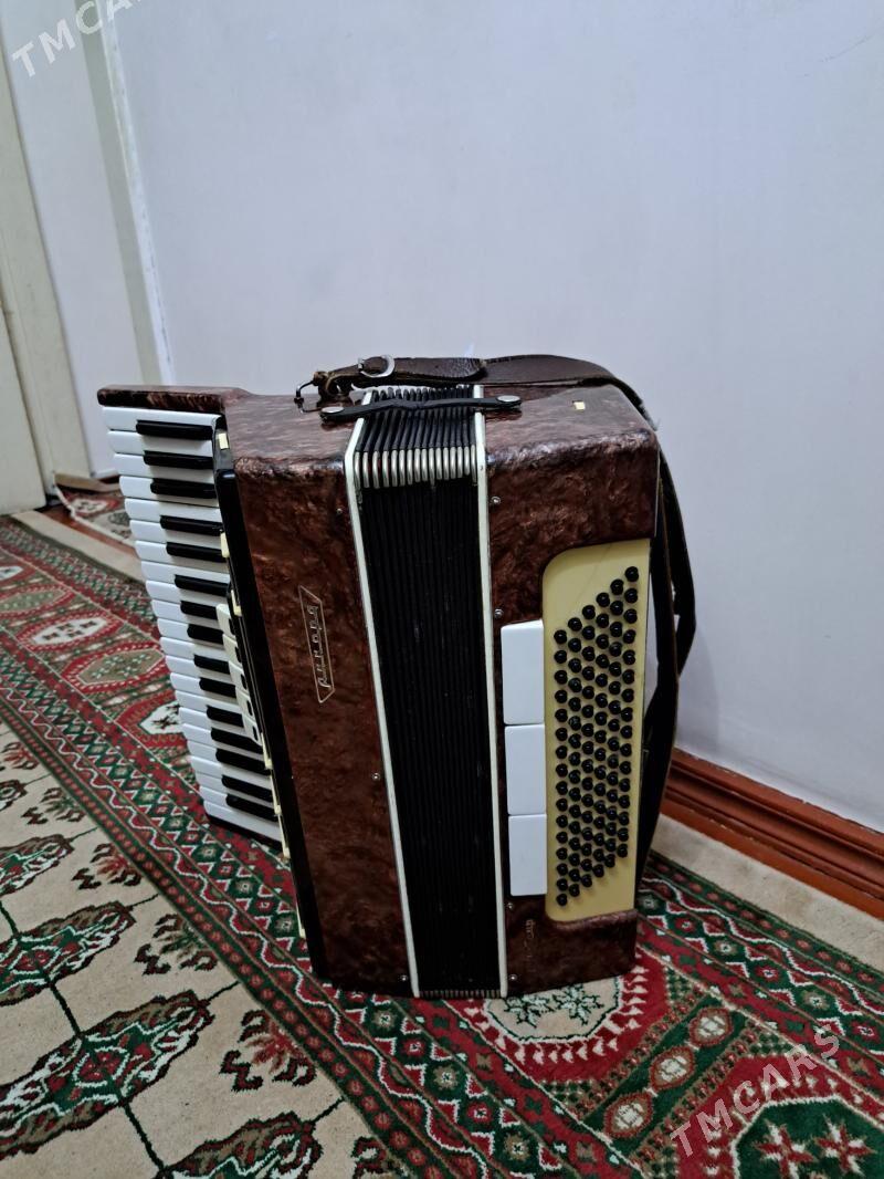 Akkordeon - 30 мкр - img 1