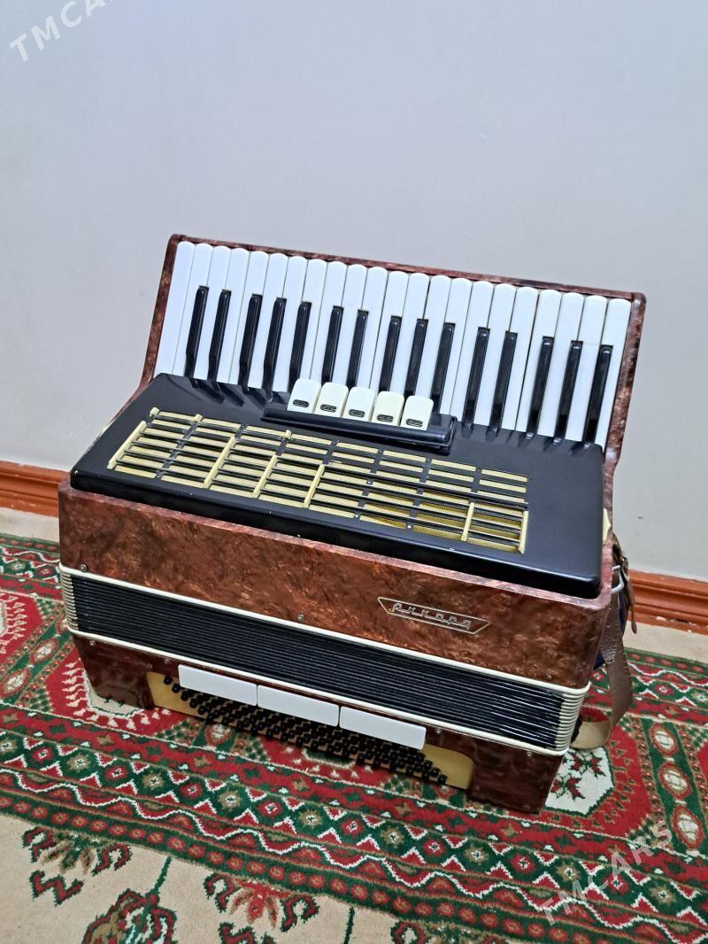 Akkordeon - 30 мкр - img 4