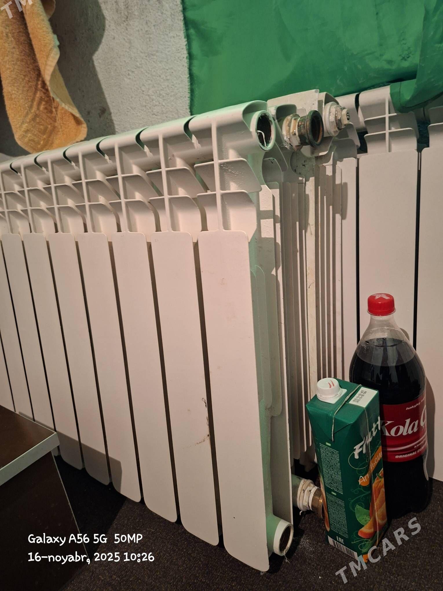 paraway - Анев - img 2