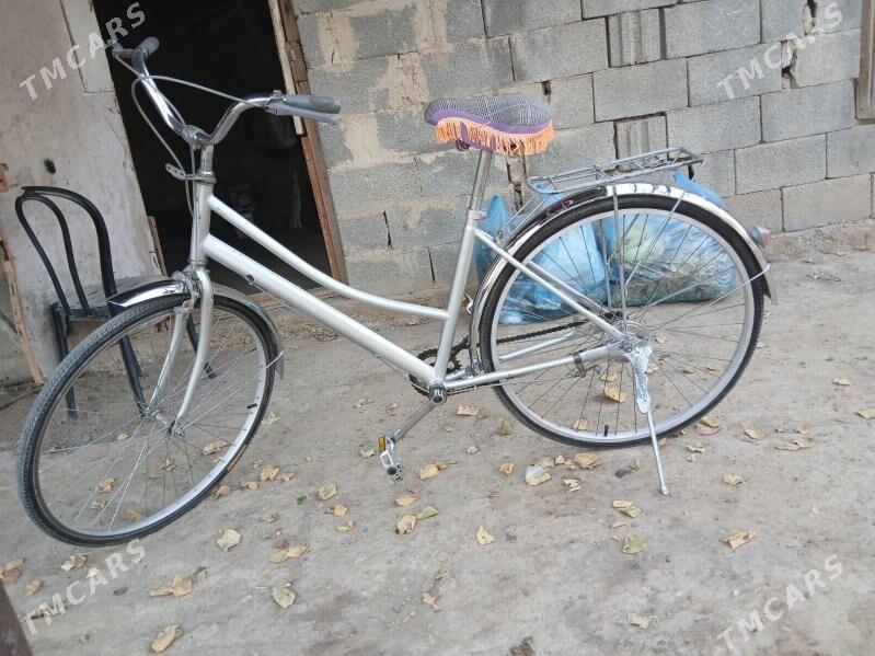 TIGIR - Анев - img 1