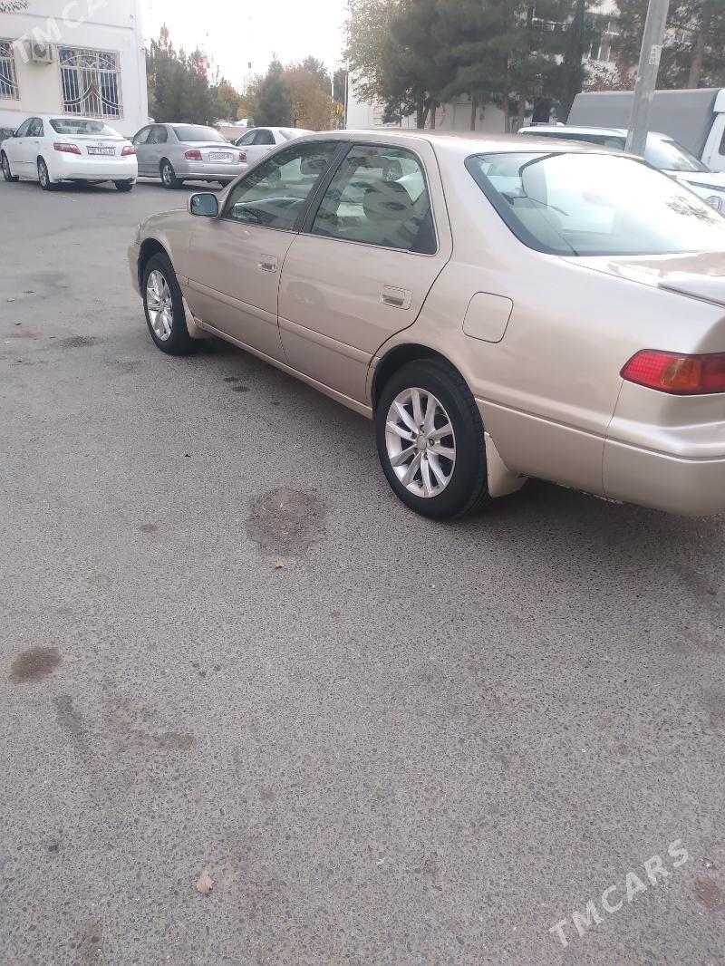 Toyota Camry 2001 - 145 000 TMT - Ak bugdaý etraby - img 3