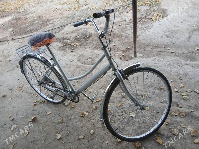 TIGIR - Анев - img 2