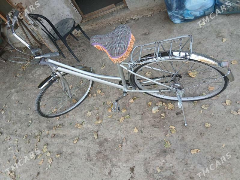 TIGIR - Анев - img 3