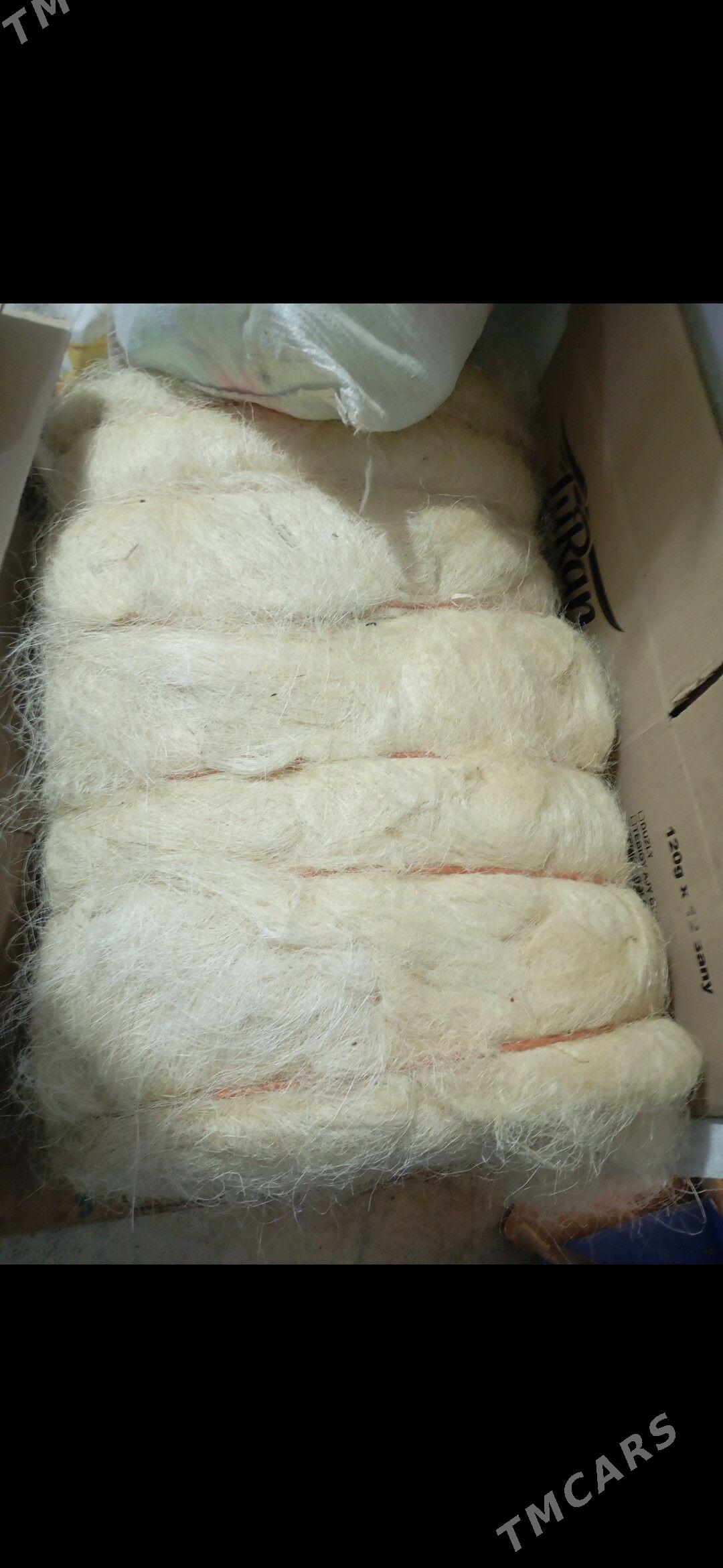 GIPS - Gökdepe - img 3