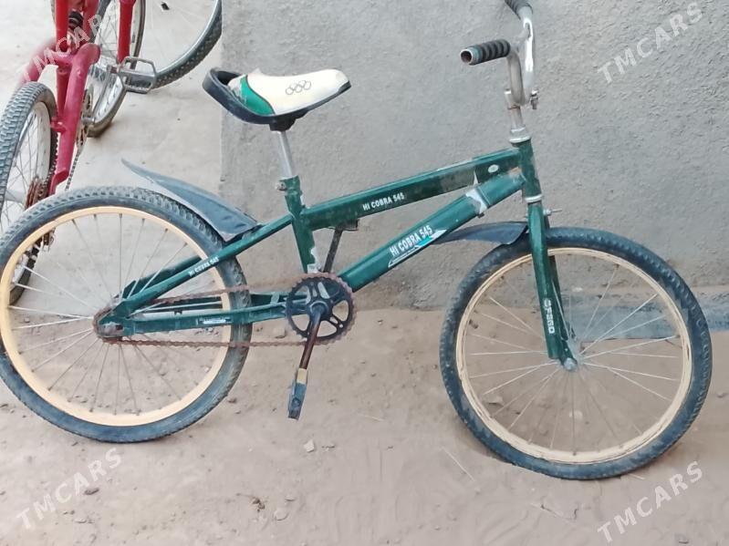 tigir - Änew - img 2