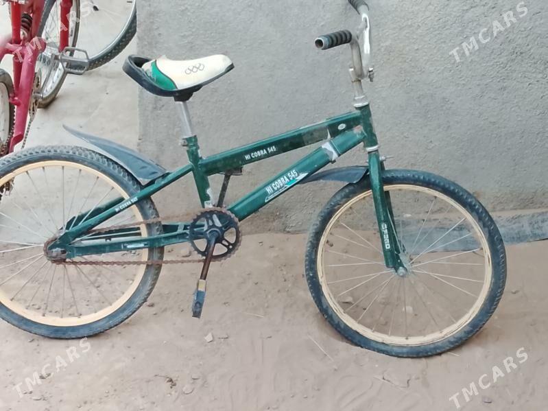 tigir - Änew - img 1