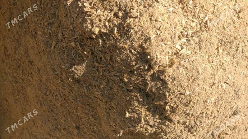 iyim - Бахарден - img 2