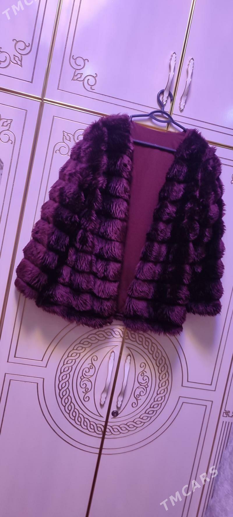 Şuba - Şabat etr. - img 2