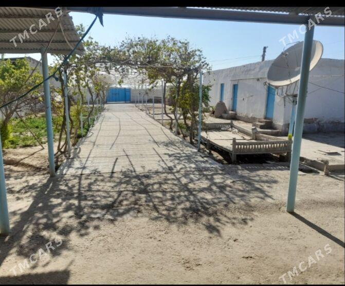 Plan Jay - Tejen - img 2