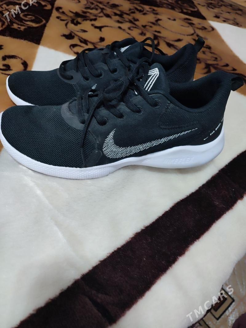 krasovka - Daşoguz - img 2