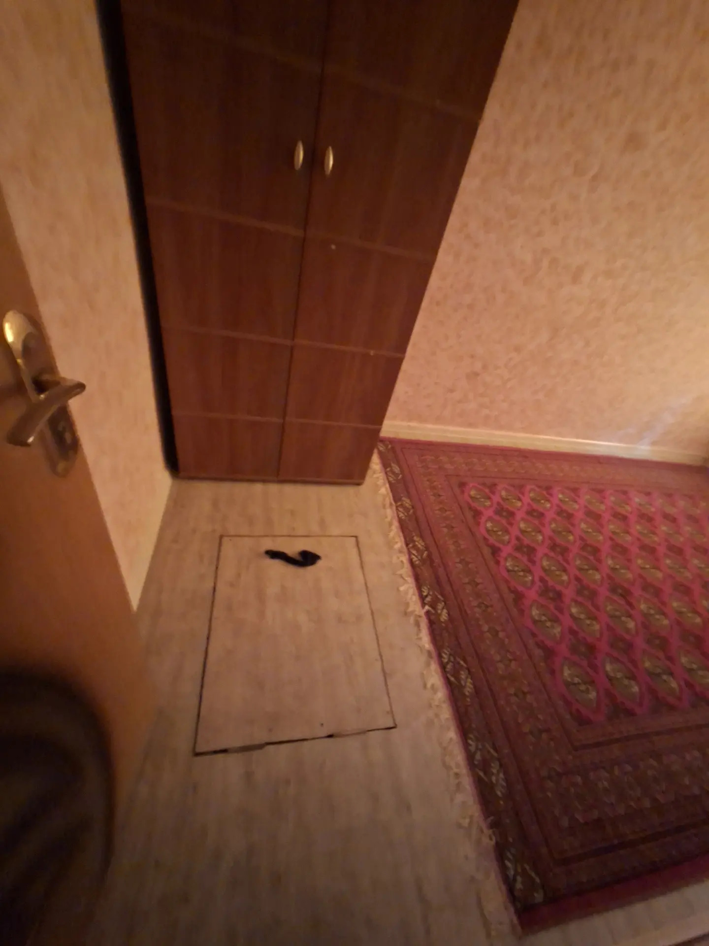 Buzmeyin tamatny. baha 26 - Büzmeýin - img 4