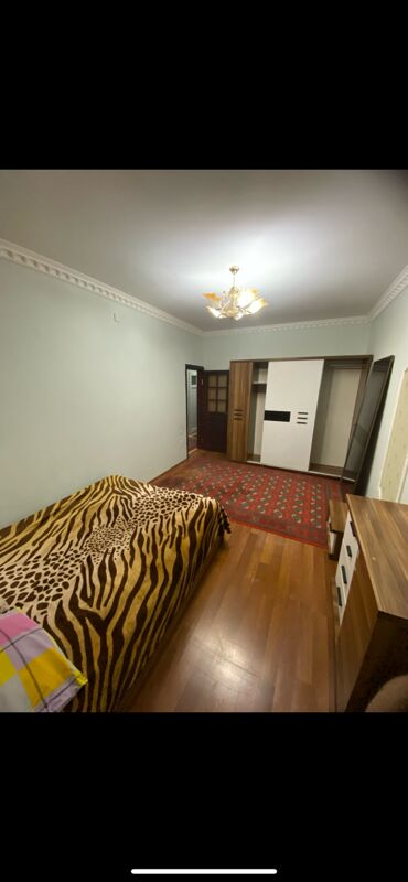 Arenda mir 3 talyplara  - Ашхабад - img 6