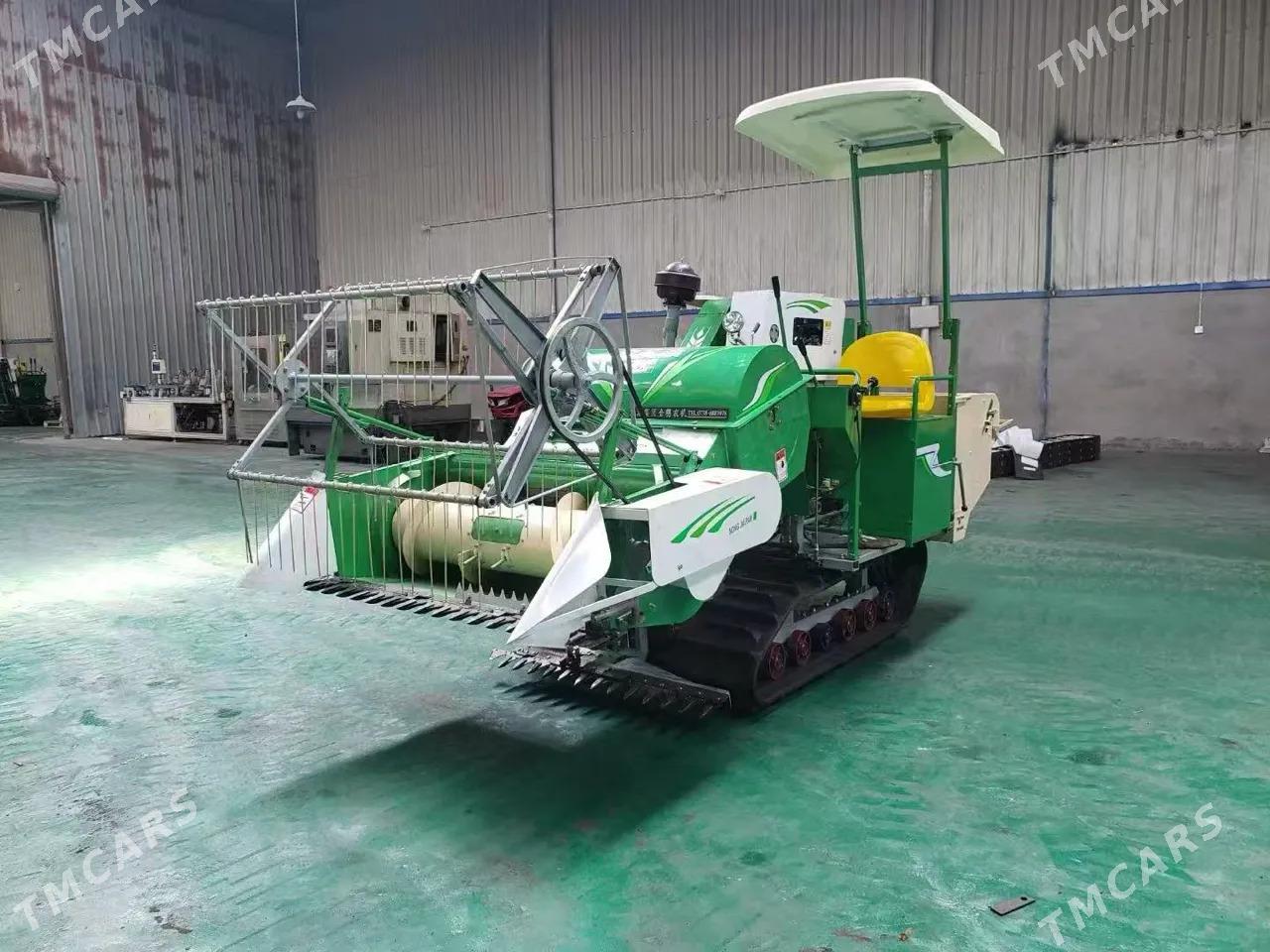 MTZ 80 2025 - 164 000 TMT - Görogly (Tagta) - img 4