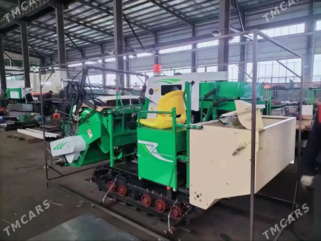 MTZ 80 2025 - 164 000 TMT - Görogly (Tagta) - img 3