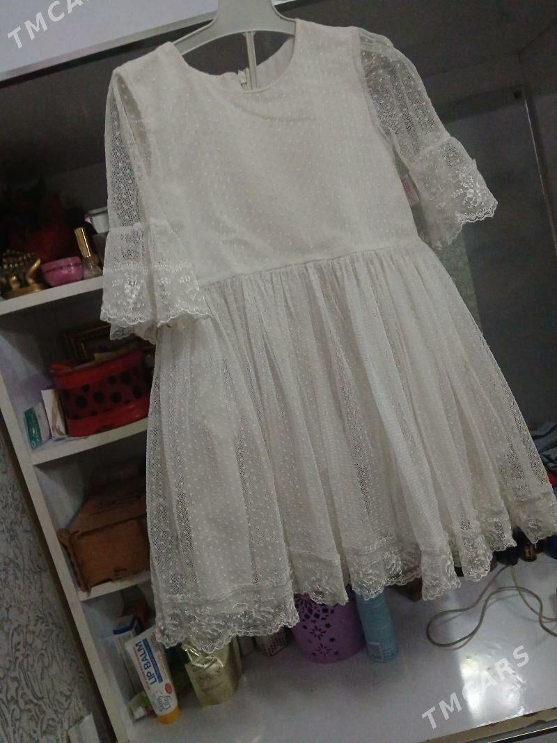 Chaga koynek - Daşoguz - img 3