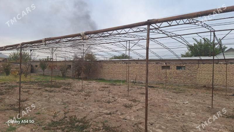 Parnik - Мары - img 3