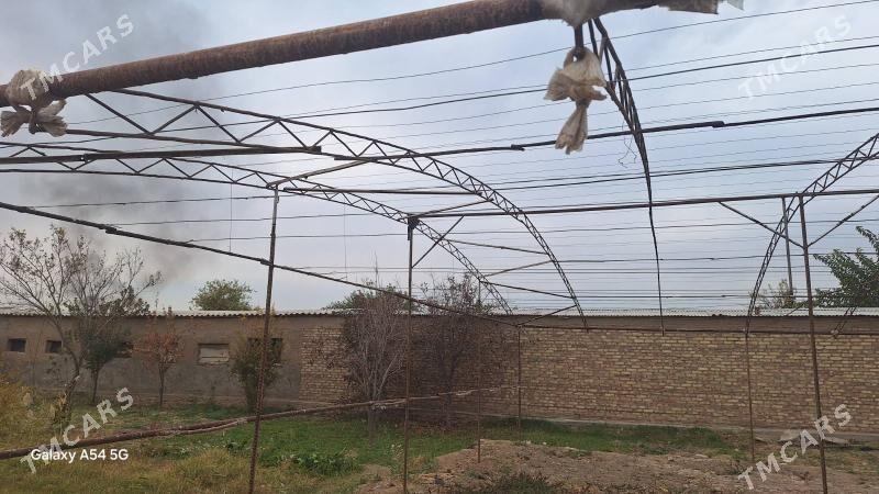 Parnik - Мары - img 2