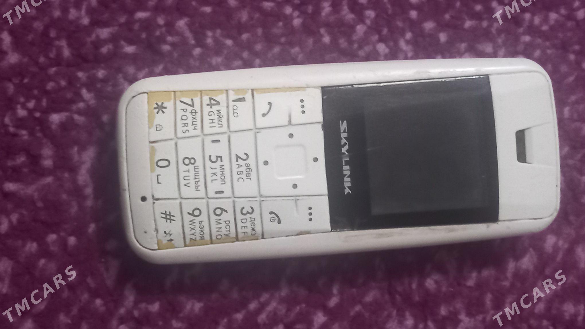 telefon 20-lik - Бузмеин ГРЭС - img 3