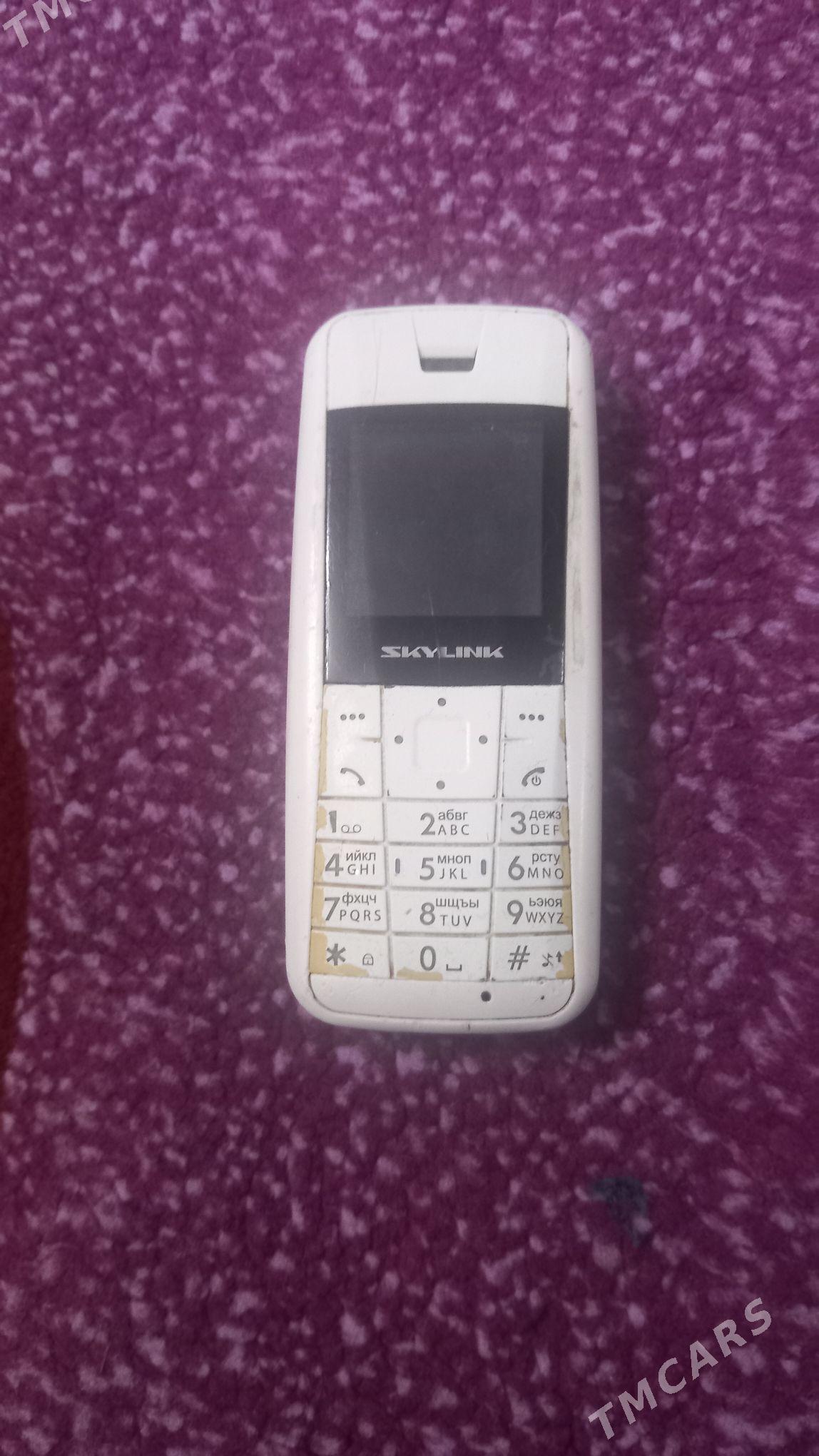 telefon 20-lik - Бузмеин ГРЭС - img 6