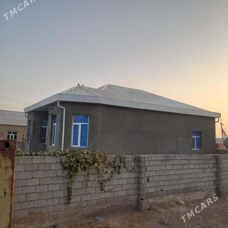 Satlyk jaÿ - Tejen - img 3