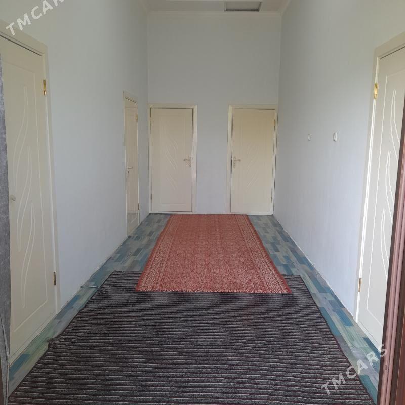 Satlyk jaÿ - Tejen - img 2