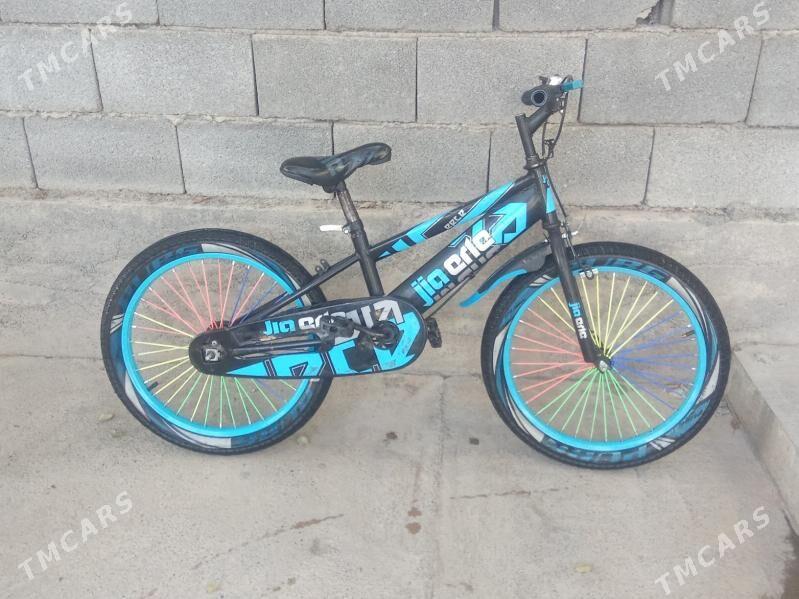 TİGİR - Ak bugdaý etraby - img 3