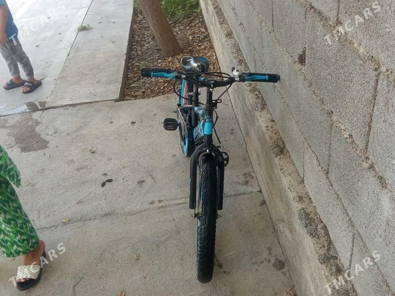 TİGİR - Ak bugdaý etraby - img 1